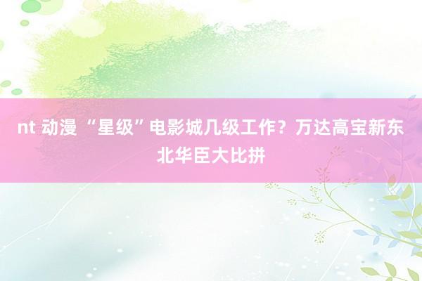 nt 动漫 “星级”电影城几级工作？万达高宝新东北华臣大比拼