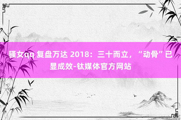 骚女qq 复盘万达 2018：三十而立，“动骨”已显成效-钛媒体官方网站