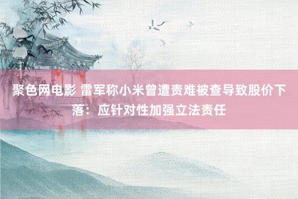聚色网电影 雷军称小米曾遭责难被查导致股价下落：应针对性加强立法责任