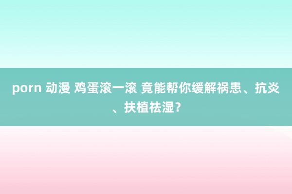 porn 动漫 鸡蛋滚一滚 竟能帮你缓解祸患、抗炎、扶植祛湿？