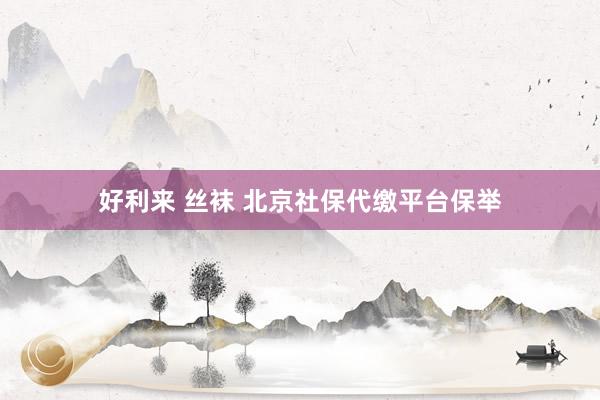 好利来 丝袜 北京社保代缴平台保举