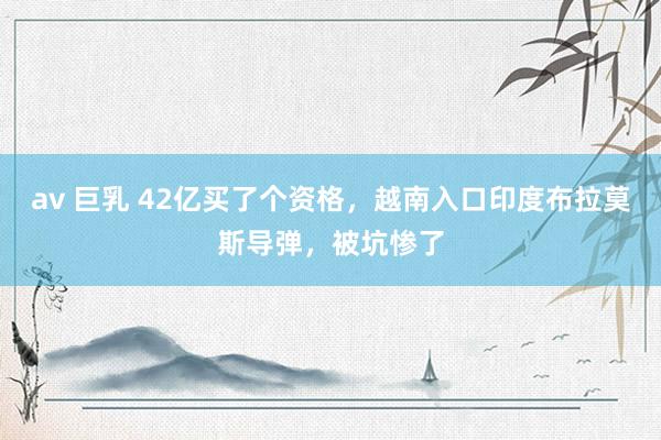 av 巨乳 42亿买了个资格，越南入口印度布拉莫斯导弹，被坑惨了