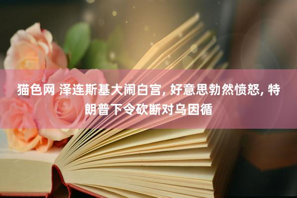猫色网 泽连斯基大闹白宫, 好意思勃然愤怒, 特朗普下令砍断对乌因循