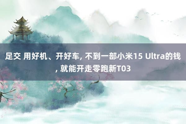 足交 用好机、开好车, 不到一部小米15 Ultra的钱, 就能开走零跑新T03