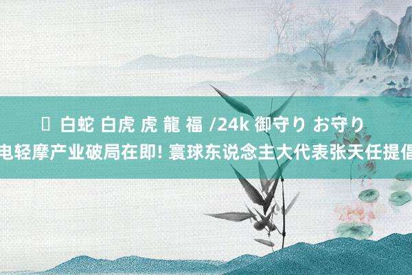 ✨白蛇 白虎 虎 龍 福 /24k 御守り お守り 电轻摩产业破局在即! 寰球东说念主大代表张天任提倡