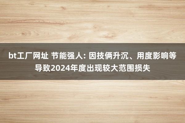 bt工厂网址 节能强人: 因技俩升沉、用度影响等导致2024年度出现较大范围损失