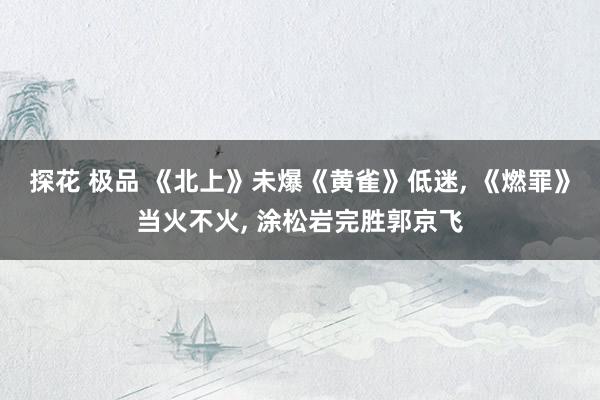 探花 极品 《北上》未爆《黄雀》低迷, 《燃罪》当火不火, 涂松岩完胜郭京飞