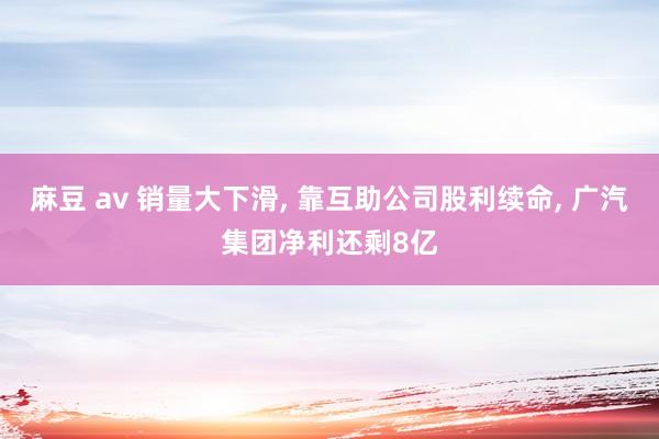 麻豆 av 销量大下滑, 靠互助公司股利续命, 广汽集团净利还剩8亿
