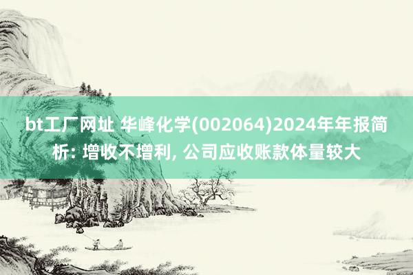 bt工厂网址 华峰化学(002064)2024年年报简析: 增收不增利, 公司应收账款体量较大